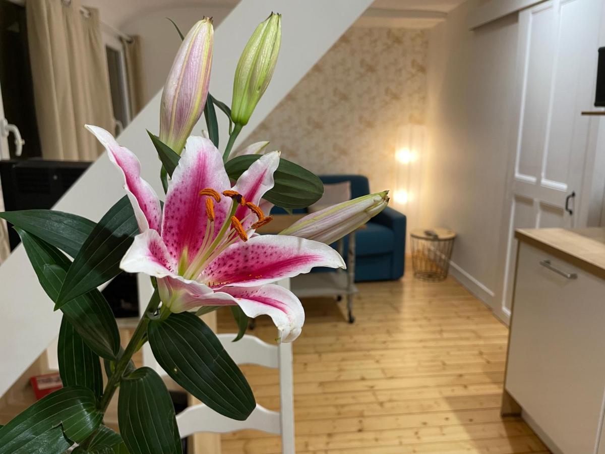 Houlgate Appartement La Briarde المظهر الخارجي الصورة